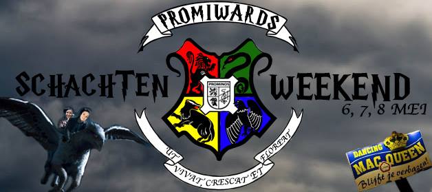 Banner Schachtenweekend